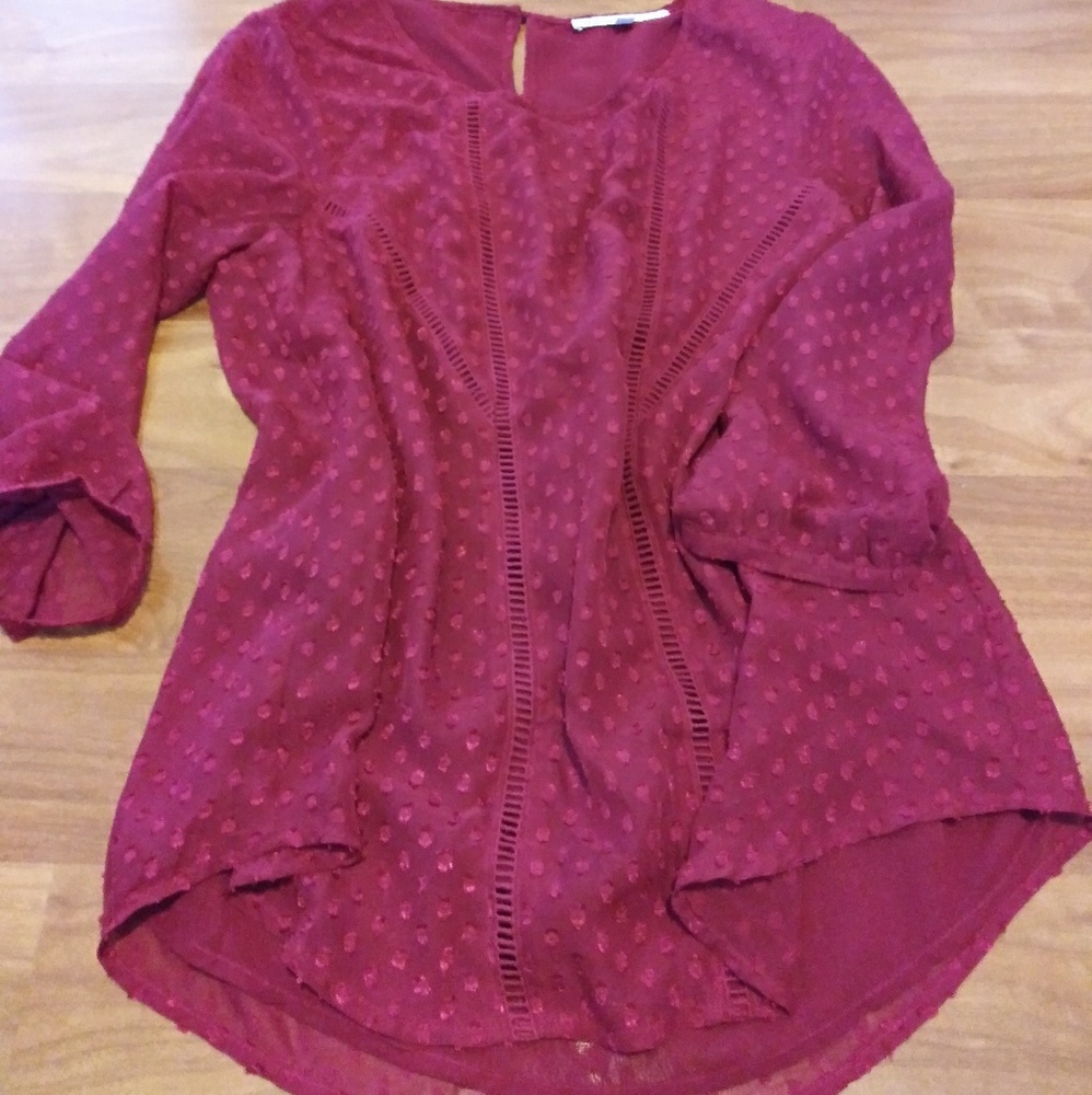 Daniel rainn blouse